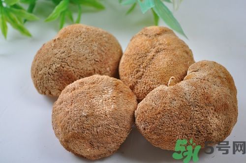 猴頭菇粉怎么做？猴頭菇餅干怎么做？