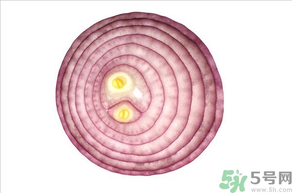 吃洋蔥上火嗎？吃洋蔥會上火嗎？