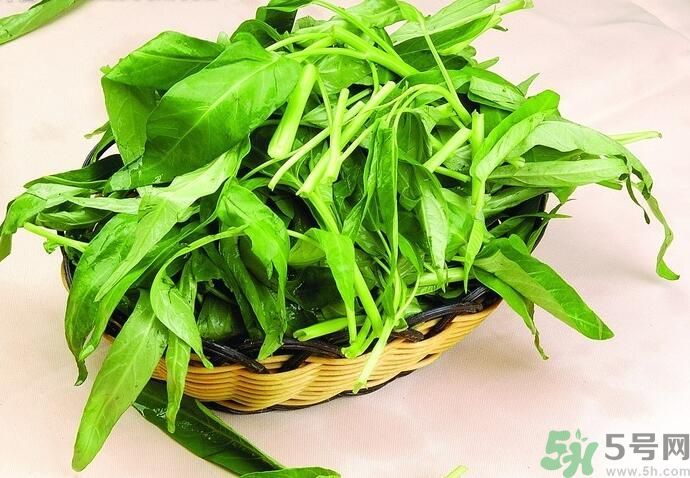 空心菜有什么功效？空心菜的功效是什么？