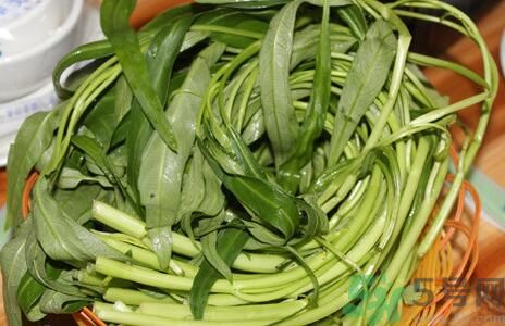 空心菜吃葉子還是吃桿？空心菜吃葉子好嗎？