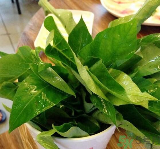 空心菜泡水了還能吃嗎？泡水的空心菜可以吃嗎？