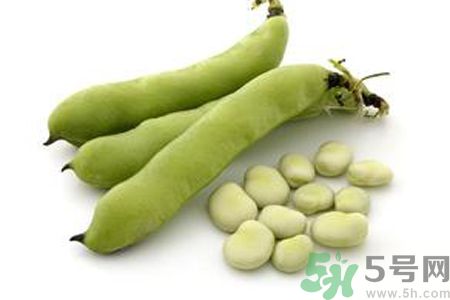 寶寶可以吃蠶豆嗎？寶寶多大可以吃蠶豆？