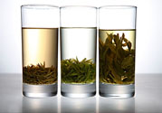茯苓和苦丁茶能一起泡嗎？茯苓可以和苦丁茶一起喝嗎？