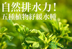 南瓜去水腫嗎？南瓜能消腫嗎？
