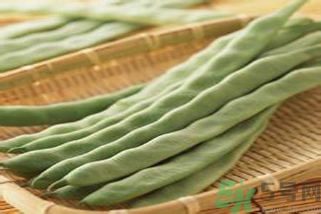 四季豆是發(fā)物嗎？四季豆是不是發(fā)物？