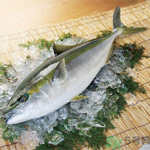 冷凍肉解凍不好吃怎么辦？冷凍肉怎樣解凍好吃？