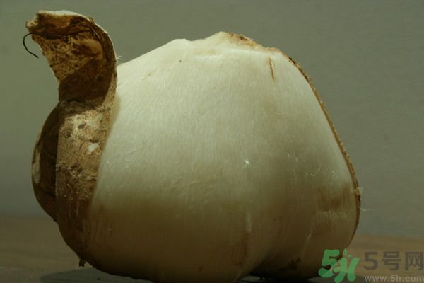 涼薯吃多了好嗎？地瓜吃多了會(huì)上火嗎？
