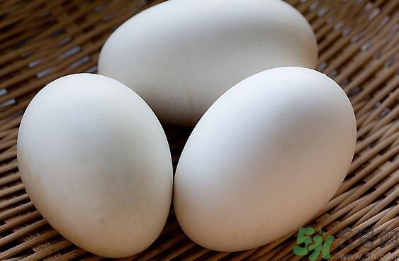 鵝蛋可以清火嗎？鵝蛋可以降火嗎？