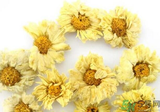 菊花晶有什么功效？菊花晶的功效是什么？