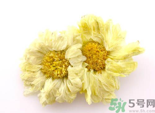 菊花晶能喝綠豆湯一起喝嗎？菊花晶和綠豆湯可以一起喝嗎？