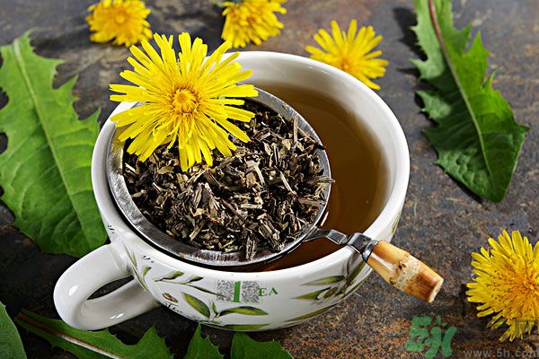 蒲公英泡茶有什么功效？蒲公英泡茶的功效是什么？