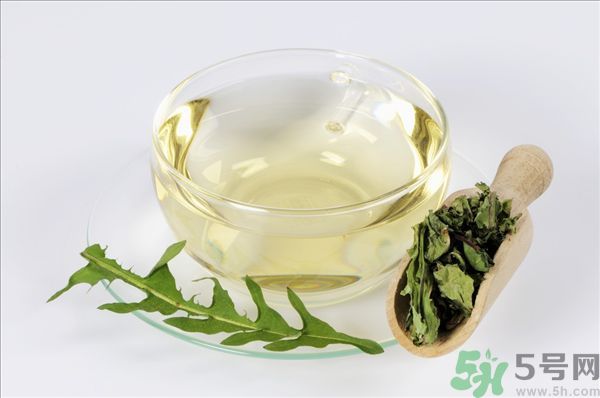 蒲公英泡水喝有副作用嗎？蒲公英泡水喝要注意什么？