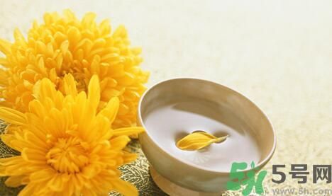蒲公英可以祛痘嗎？蒲公英怎樣可以祛痘？