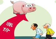 豬肉價(jià)格為什么驚動(dòng)世界？豬肉價(jià)格一直上漲的原因是什么？