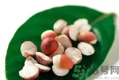 夏天吃芡實(shí)好嗎？夏天吃芡實(shí)有什么好處？