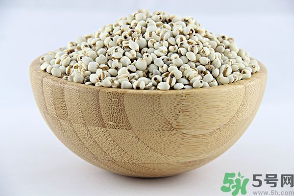 夏天吃薏米好嗎？夏天吃薏米有什么好處？