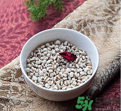 夏天吃薏米好嗎？夏天吃薏米有什么好處？