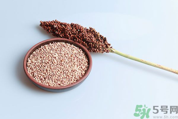 夏天吃高粱好嗎？夏天吃高粱有什么好處？