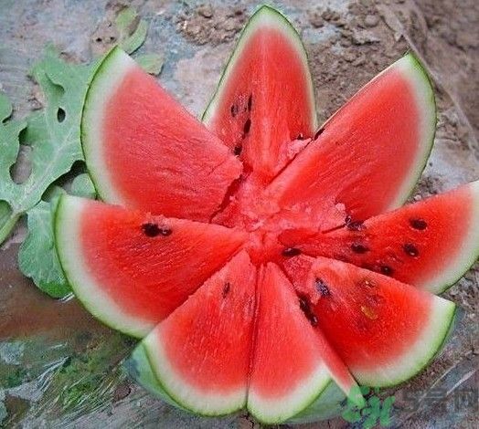 方形西瓜可以吃嗎？方形西瓜有什么好處？