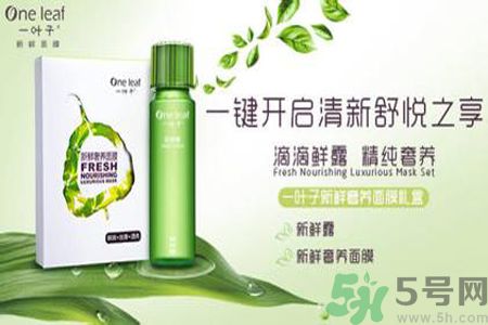 一葉子鮮補(bǔ)水保濕眼霜適合什么膚質(zhì)？