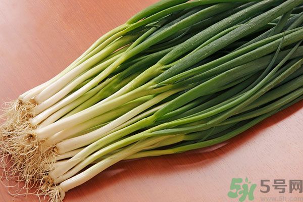 夏天上火能吃蔥嗎？夏天吃蔥會(huì)不會(huì)上火？