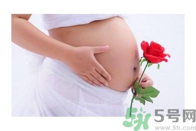陜西最美媽媽是誰？陜西最美媽媽當(dāng)街哺乳被棄女嬰是怎么回事？