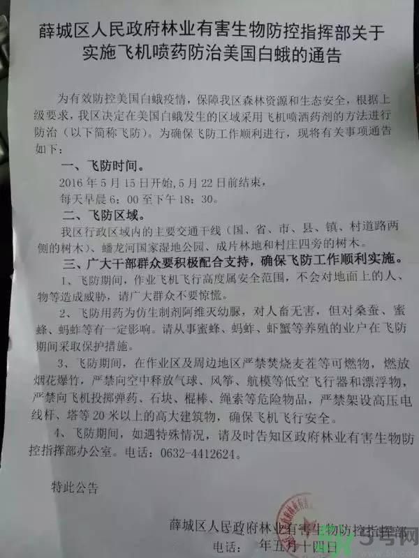 為什么15-25號不要曬被子？什么是美國白蛾？
