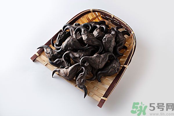 孕婦可以吃菱角嗎？孕婦吃菱角好嗎？