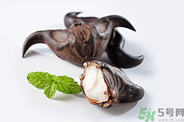 寶寶可以吃菱角嗎？寶寶多大可以吃菱角？