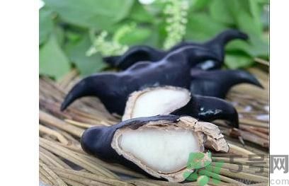 菱角怎么剝完整？菱角剝不開怎么辦？