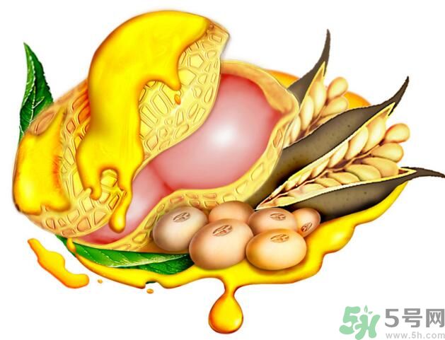 夏天吃哪種油好？什么油適合夏天吃？