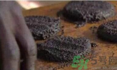 蚊子可以吃嗎？吃蚊子會怎么樣？