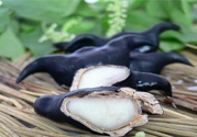 菱角汁染色怎么辦？菱角汁怎么洗掉？