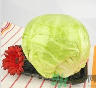 包菜是涼性的嗎？包菜是涼性還是熱性的？