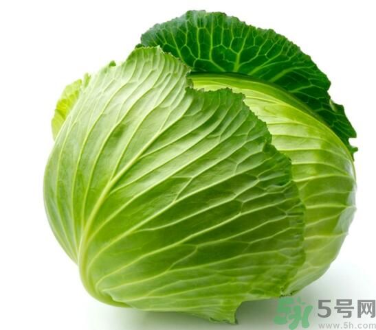 包菜可以放冰箱嗎？包菜怎么保存？