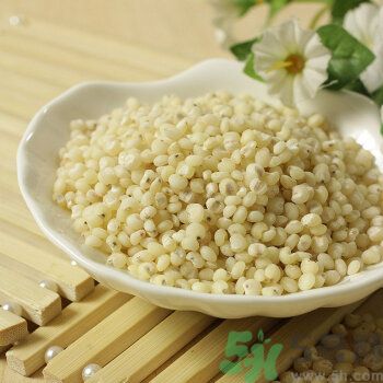 高粱米是涼性嗎？高粱米是涼性還是熱性？