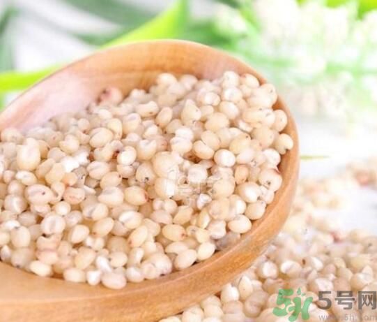 高粱米是發(fā)物嗎？高粱米是不是發(fā)物？