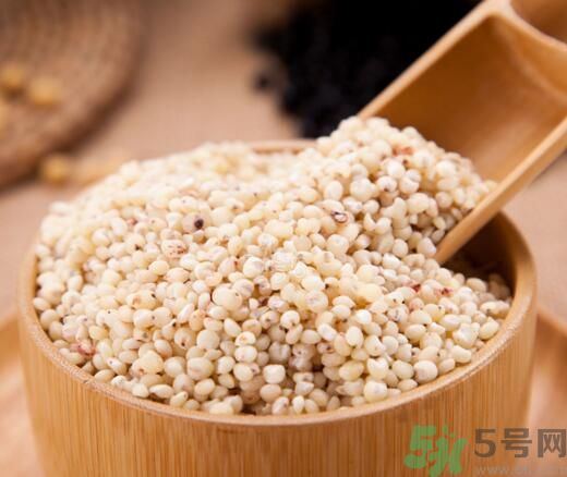高粱米是發(fā)物嗎？高粱米是不是發(fā)物？