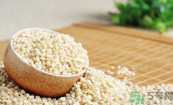 高粱米是發(fā)物嗎？高粱米是不是發(fā)物？