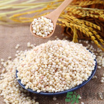 高粱米能做飯嗎？高粱米做飯好嗎？