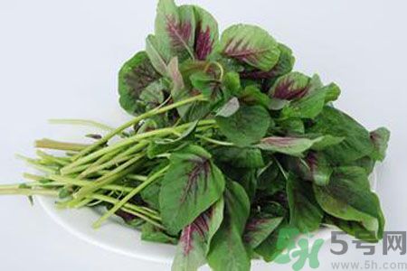 漢菜是熱性還是涼性？漢菜是涼性的嗎？
