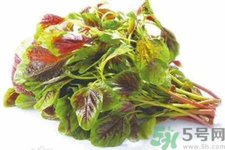 孕婦可以吃漢菜嗎？懷孕可以吃漢菜嗎？