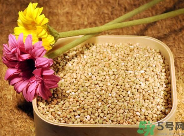 蕎麥是發(fā)物嗎？蕎麥是不是發(fā)物？