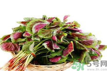 胃不好可以吃莧菜嗎？胃不好吃莧菜好嗎？