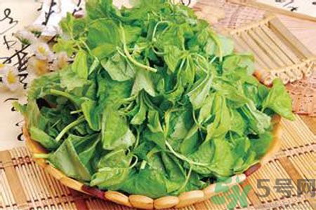 胃不好可以吃莧菜嗎？胃不好吃莧菜好嗎？