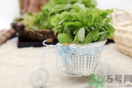 月經(jīng)期間可以吃漢菜嗎？來(lái)月經(jīng)可以吃漢菜嗎？