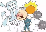 夏季濕氣重怎么辦？夏季祛濕的方法