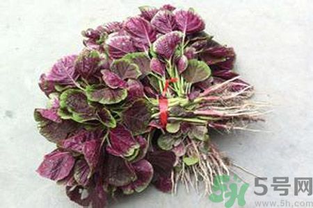 衣服上染上了莧菜汁怎么辦？衣服上的莧菜汁怎么洗掉？