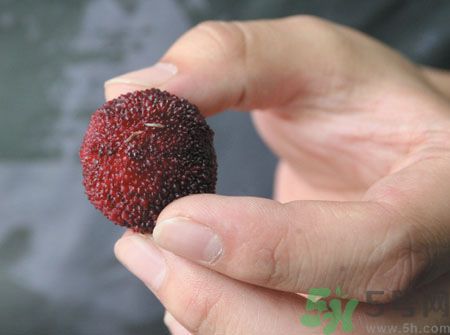 楊梅里面的蟲子能吃嗎？楊梅里面的蟲子吃了會怎么樣？