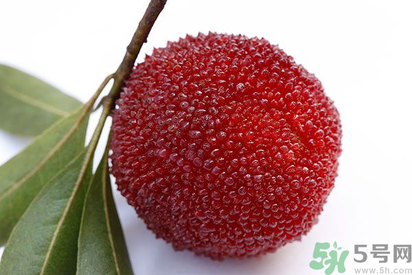 楊梅里面的蟲子能吃嗎？楊梅里面的蟲子吃了會怎么樣？